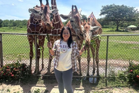 Coron; Calauit Safari Isla Negra Almuerzo y traslado incluidos