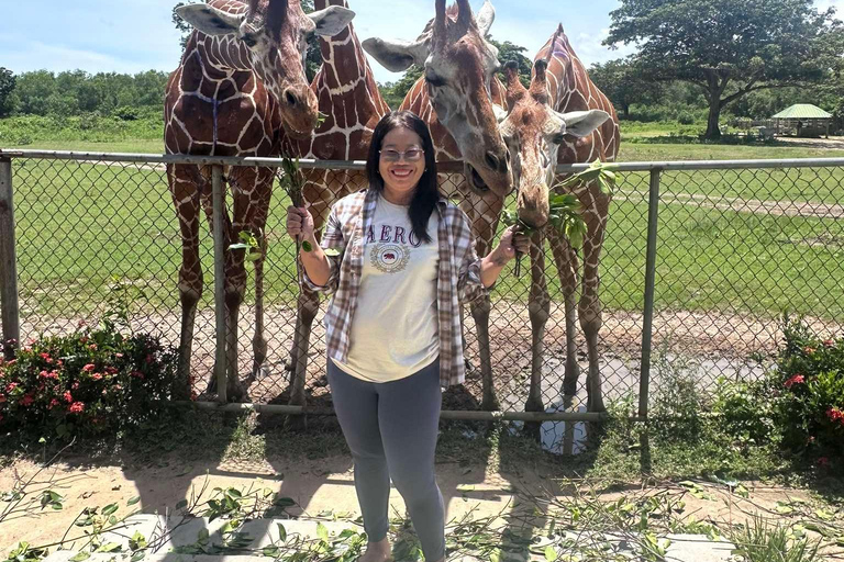 Coron; Calauit Safari Isla Negra Almuerzo y traslado incluidos