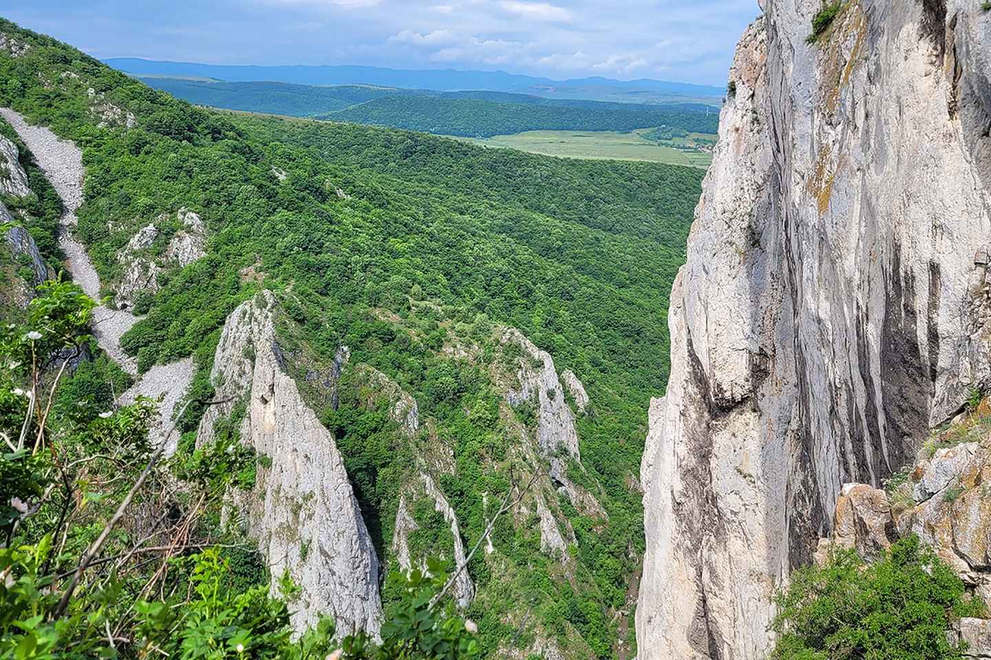 Cluj Napoca: Climbing or Hiking Experience in Turda Canion