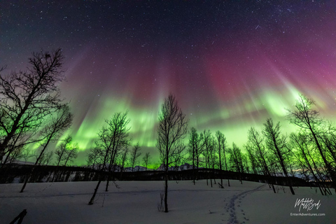 Desde Tromsø: Tour en autobús por la Aurora Boreal