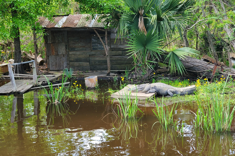 New Orleans: Oak Alley Plantation -N- Swamp Tour Full Day New Orleans Full Day Plantation -N- Swamp Tour