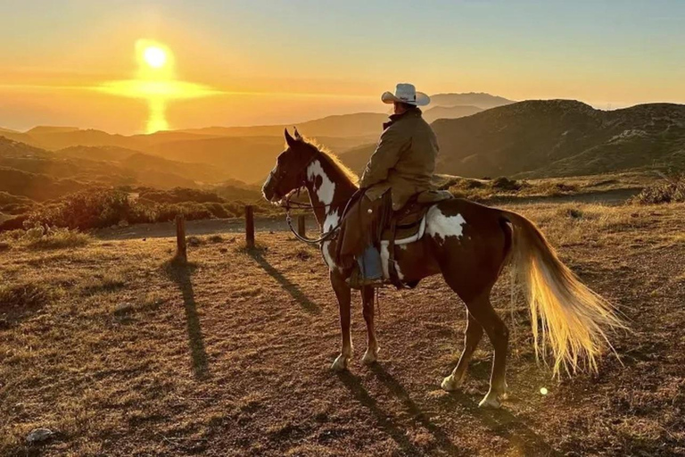 Catalina Island: Bluff View Horseback Ride
