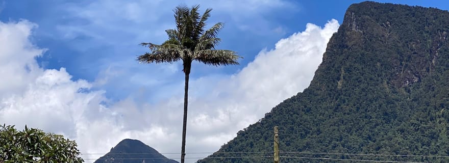 Circuit à travers la vallée de Cocora, Casa de los colibríes Acaime Environ 14 km