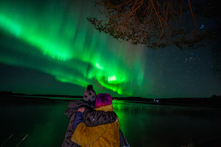 Rovaniemi: Northern Lights Tour – Guaranteed with Photos Small-Group Northern Lights Tour – Guaranteed with Photos