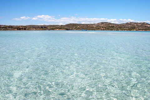 Santa Teresa: Speedboottocht rond Lavezzi en Piana-eiland