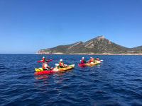 Discover the Island Dragonera by kayak and on foot - Housity