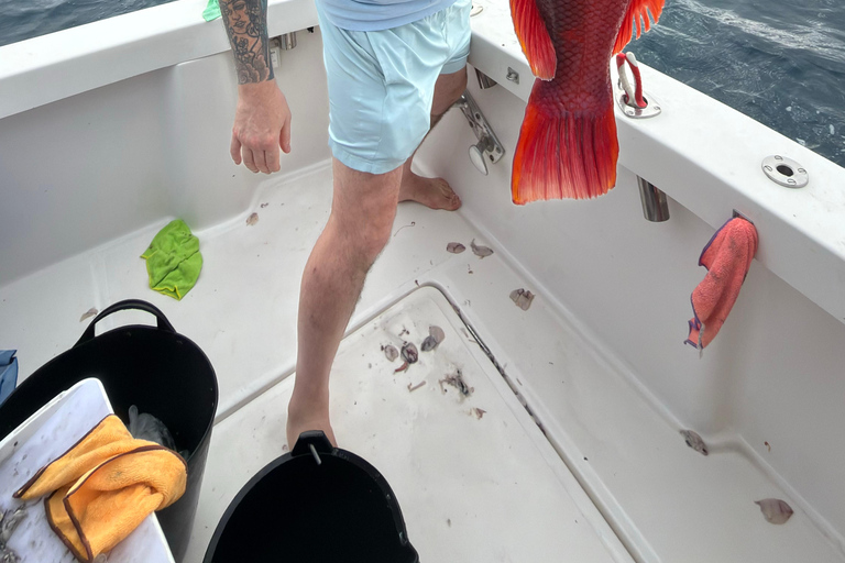 Corralejo: Atlantic Sport Fishing Charter Corralejo: Shared Deep Sea Fishing Charter on the Atlantic