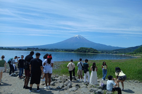 From Tokyo: Mt. Fuji Views Private Customize Itinerary Tour