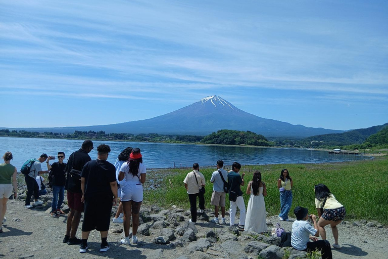 From Tokyo: Mt. Fuji Views Private Customize Itinerary Tour