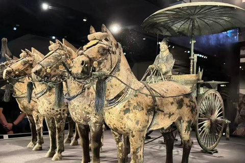 Xi'an: Terracotta Army Official Entry Ticket (UNESCO Site)