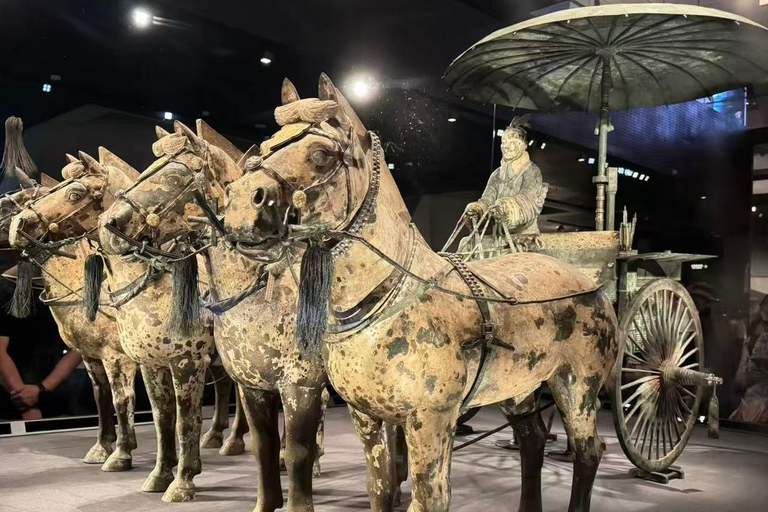 Xi'an: Terracotta Army Official Entry Ticket (UNESCO Site)