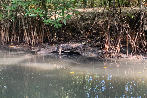 Galle: Koggala River Boat Safari with Monkeys Birds & Nature