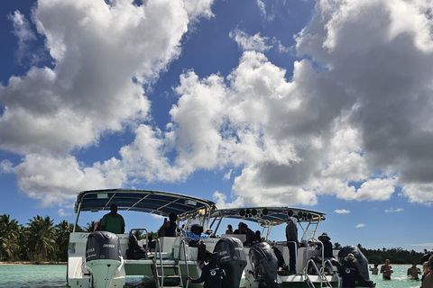 VIP tour to Saona Island by speedboat with a visit to paradise beaches SAONA ISLAND VIP SPANISH