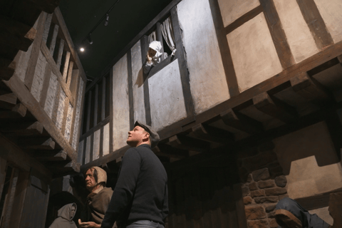 Dublin: Dublinia Viking and Medieval Museum Entry Ticket