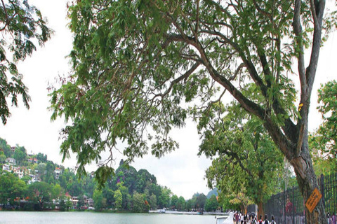Kandy Heritage and Cultural Temple Tour