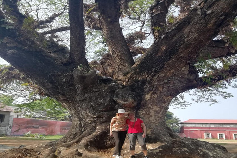Kochi: Tuk-Tuk-Ausflug mit versteckten SchätzenKochi: Ausflug mit dem Tuk-Tuk zu versteckten Schätzen