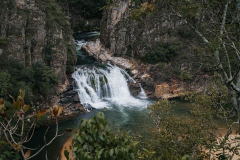 From São Paulo: 5-Day Serra da Canastra Wildlife Safari