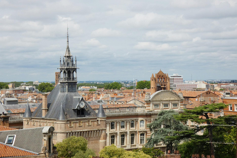 Tour guiado privado por la ciudad de Toulouse