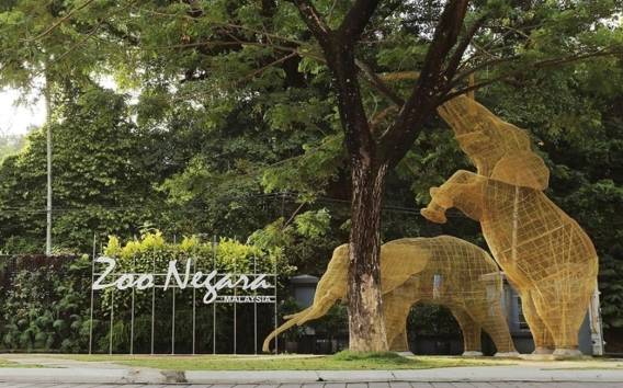 Kuala Lumpur: Zoo Negara Eintrittskarte