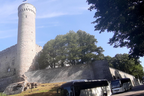 Tallinn : Visite guidée combinée des temps forts de cette ville merveilleuse !Tallinn : visite guidée combinée des temps forts de cette ville merveilleuse !