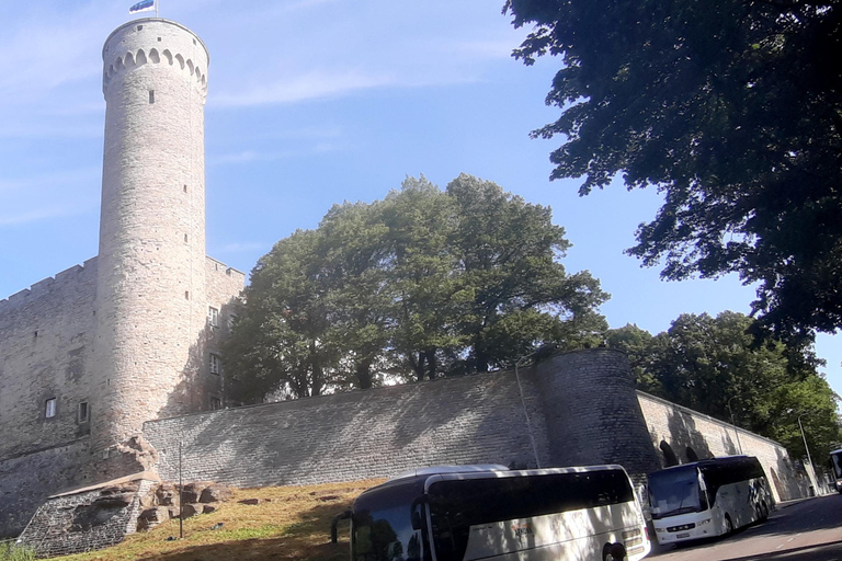 Tallinn : Visite guidée combinée des temps forts de cette ville merveilleuse !Tallinn : visite guidée combinée des temps forts de cette ville merveilleuse !