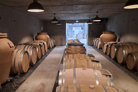 Anjou Saumur Unique Wine Tasting and Discovery - Full Day