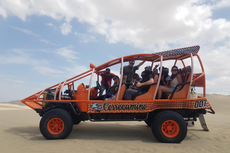 Visite d'une jounée : De Lima - Paracas - Oasis de Huacachina