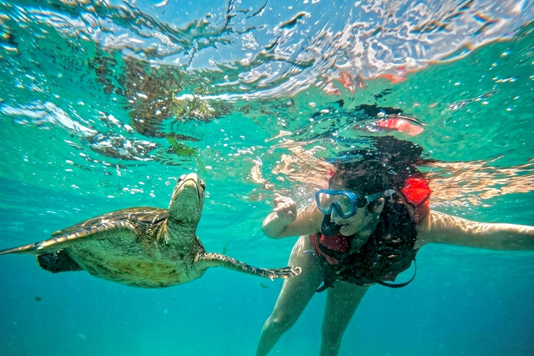 Mirissa Guided Snorkeling Tour with Sea Turtle & Coral Reef