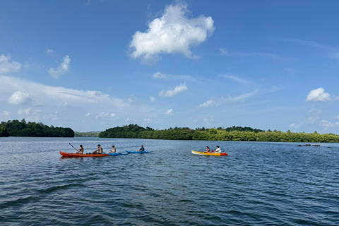 Bentota/Beruwala: Galle Fort, Koggala Lake & Kayaking Tour