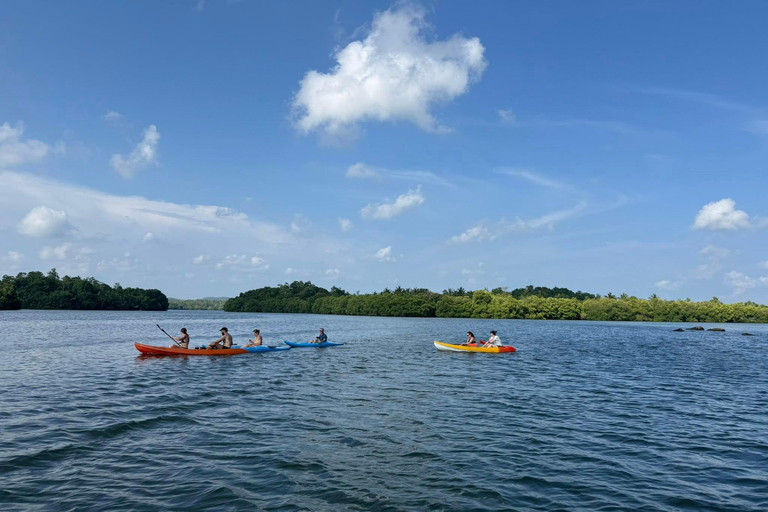 Bentota/Beruwala: Galle Fort, Koggala Lake & Kayaking Tour