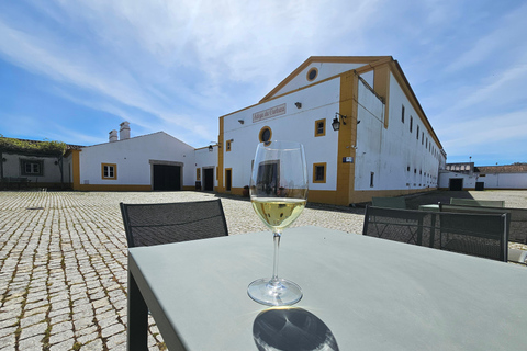 Lisbon: Évora (w/ Cathedral & Bones), Cartuxa & Cork Factory