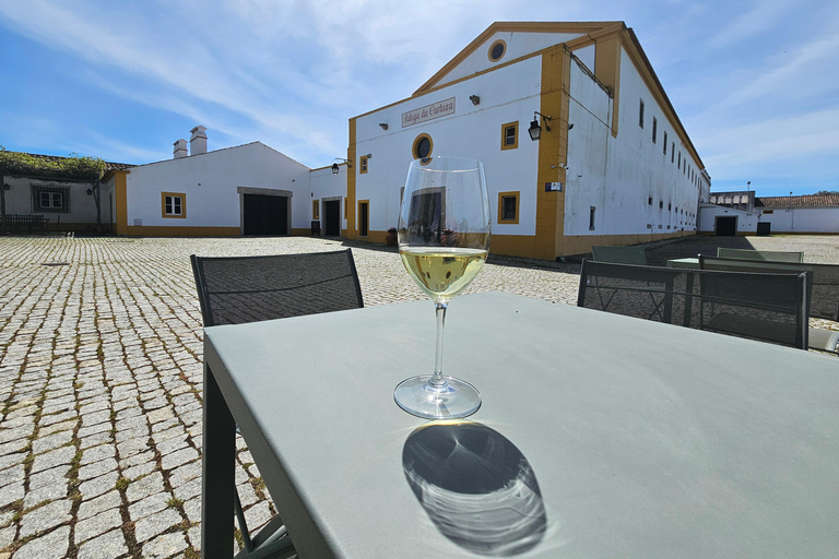 Lisbon: Évora (w/ Cathedral & Bones), Cartuxa & Cork Factory