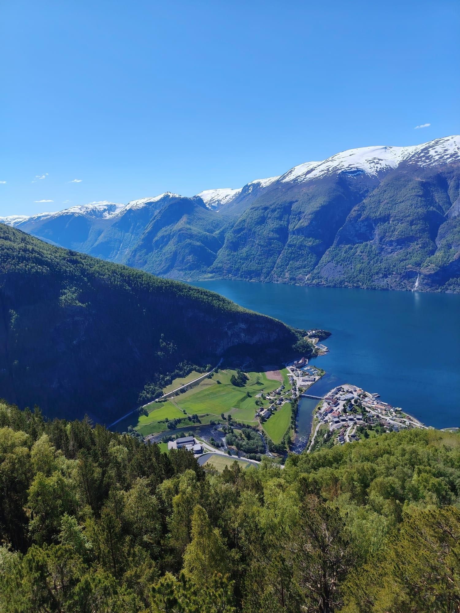 Oslo: Private Ganztagestour zum Nærøyfjord – Guide und Fahrer