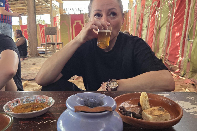 Marrakech: 1000cc Buggy Adventure in the Palmeraie Private Buggy Adventure with Hotel Pickup