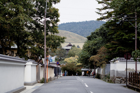 Nara World Heritage: Asuka E-Bike & Megalith Cycling Tour