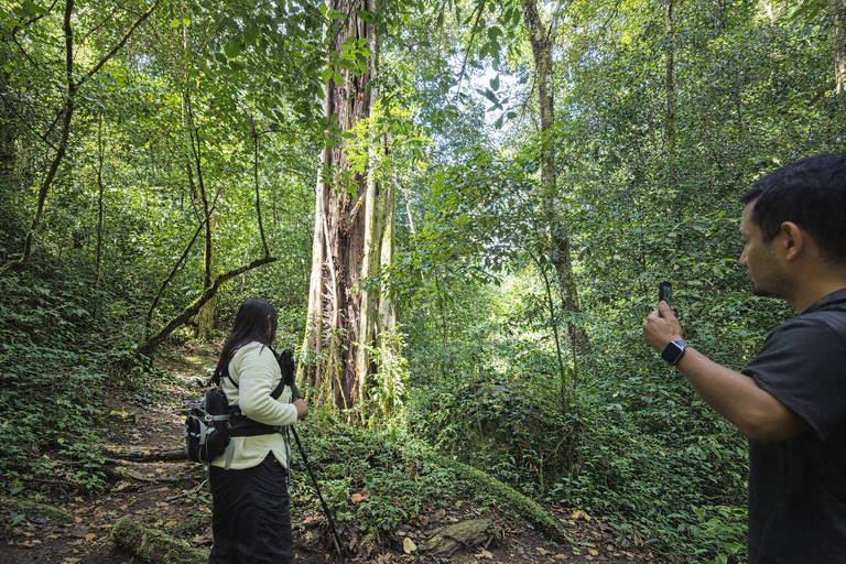 Monteverde: Roots of the Future Walk at Finca Lantana