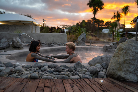 Au départ d&#039;Auckland : Hell&#039;s Gate Mud Bath &amp; Rotorua Highlights Tour