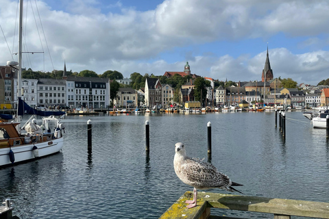 Flensburg: Running tour with insider tip guaranteePrivate tour