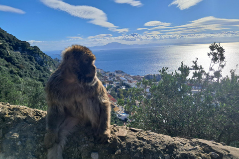 Gibraltar Sightseeing : Premium Tour with a Local Guide