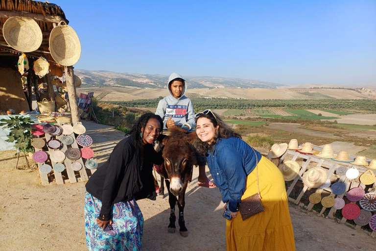 From Tangier: Private Transfer to Fes via Chefchaouen