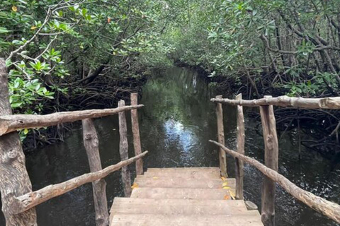 Od dżungli do Stone Town: ucieczka na Zanzibar, pełna przyrody i dziedzictwaWycieczka obejmuje Odbiór z hotelu i transport powrotny