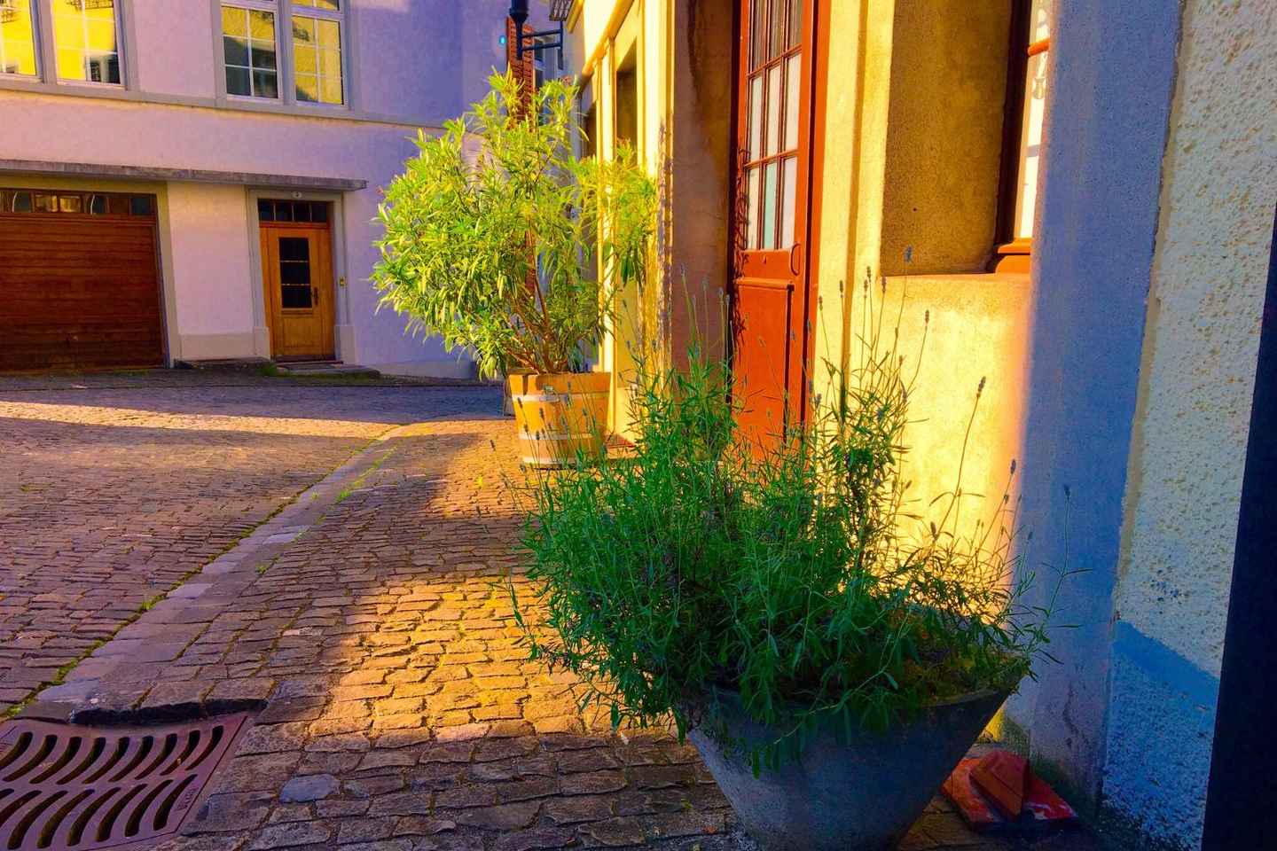 Cesky Krumlov: Insta-Perfect Walk with a Local