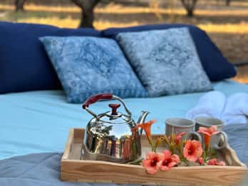 Outdoor Sleeping and Stargazing Experience in Mires