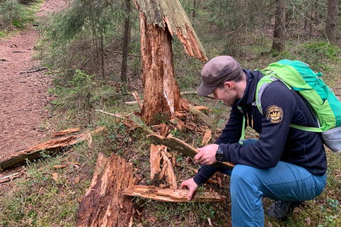 Oslo: Østmarka National Park Guided Hike with Food over Fire