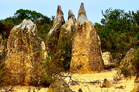 Excursión de un día al Desierto de los Pináculos