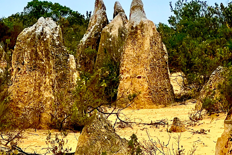 Pustynna wycieczka Pinnacles