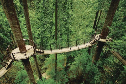 Vancouver Grouse Mountain et pont suspendu de Capilano