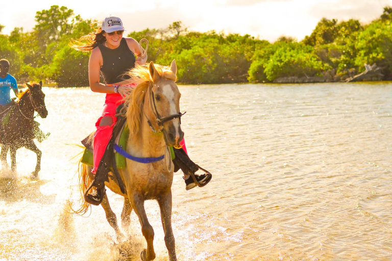 Aventura a cavalo na praia e na floresta de Macau