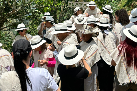 Coffee and Exotic Fruit Tour from Medellín with Lunch Coffee and Exotic Fruit Tour from Medellín with Lunch.
