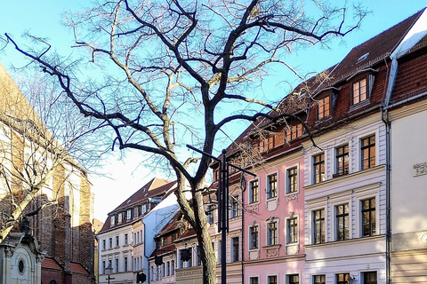 Visite de Berlin Est-Ouest et du Mur : Top Sights individuels à vélo